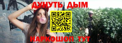 a pvp Белореченск