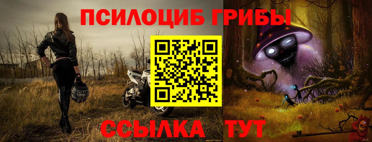 Зеленогорск  Псилоцибиновые грибы мухоморы  Псилоцибиновые грибы MAGIC MUSHROOMS  Вход с VPN 